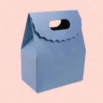 Bag Shaped Box Auto Bottom