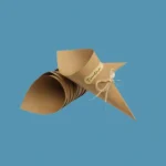 Custom Printed Paper Cones Boxes