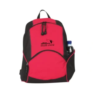 Custom Promotional Bags