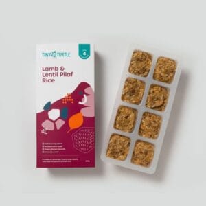 Custom Turtle Food Packaging Boxes