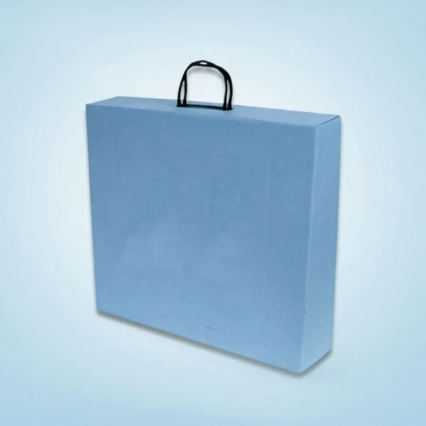 Paper Brief Case
